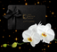 The Orchid Patio - Gift Card