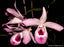 Dendrobium maccarthiae x self (Species Flask - Conical) ex Taiwan