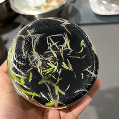 Angraecum didieri FLASK 25+ PLANTS (SPECIES)