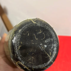 Lycaste (Gyeser Gold x Shonan Harmony) x Kiama '10' FLASK