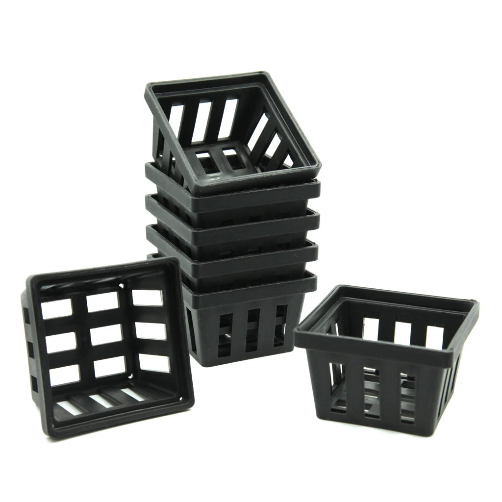 70mm SQUARE VANDA BASKETS Main image