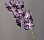Artificial Real Touch Vanda Orchid Stem