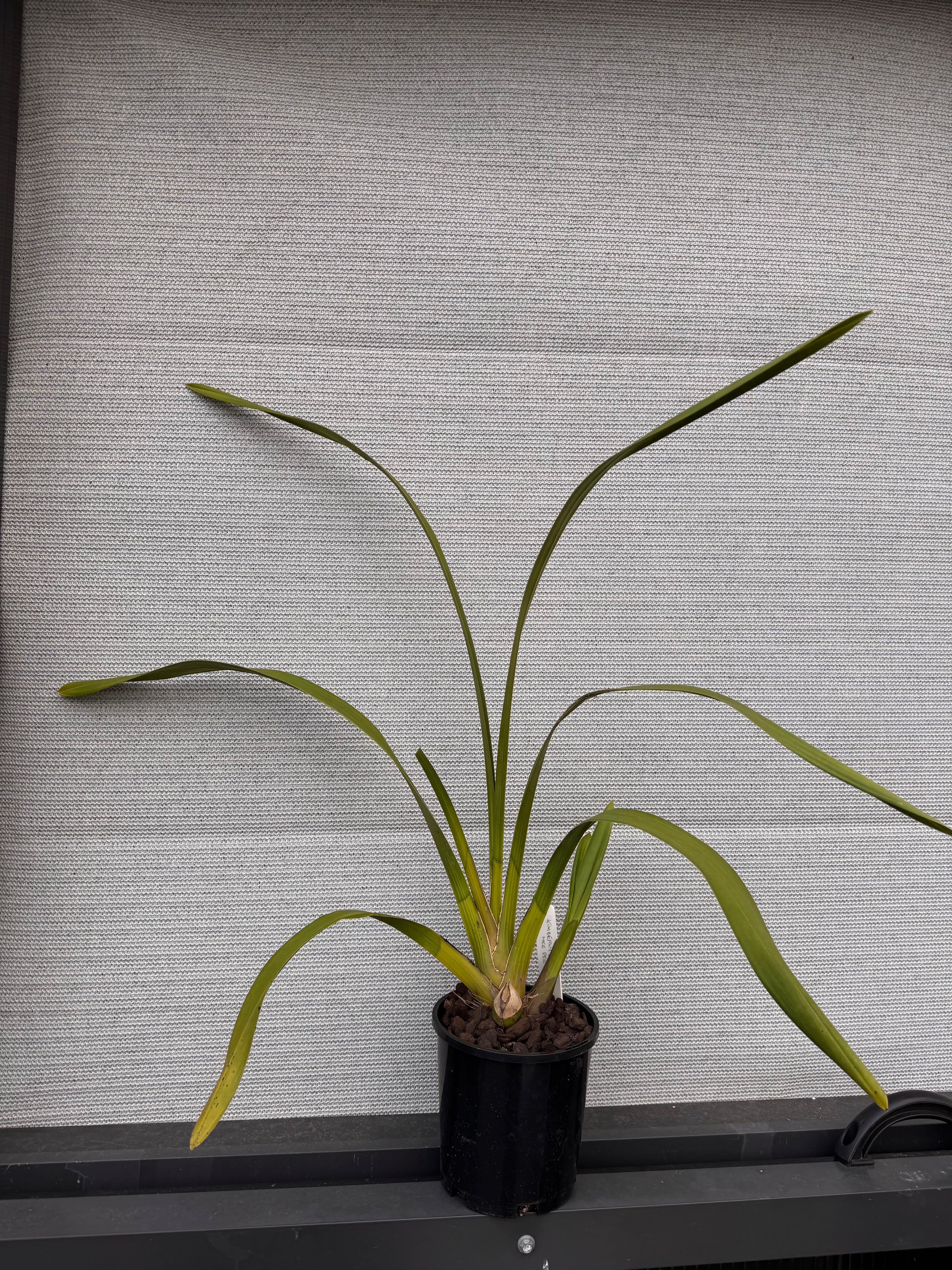 Cym Kimberley Splash 'Tee Pee' Secondary image