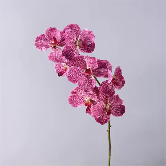 Artificial Real Touch Vanda Orchid Stem
