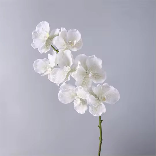 Artificial Real Touch Vanda Orchid Stem