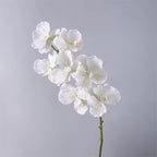 Artificial Real Touch Vanda Orchid Stem