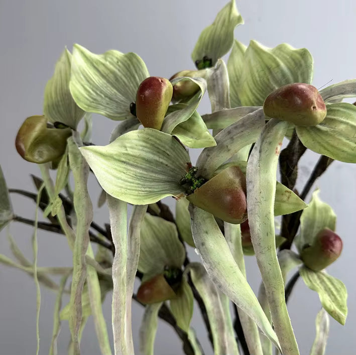 Artificial Real Touch Multifloral Paphiopedilum Orchid Stem (Handmade)
