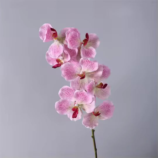 Artificial Real Touch Vanda Orchid Stem