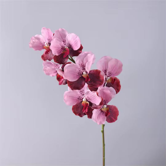 Artificial Real Touch Vanda Orchid Stem