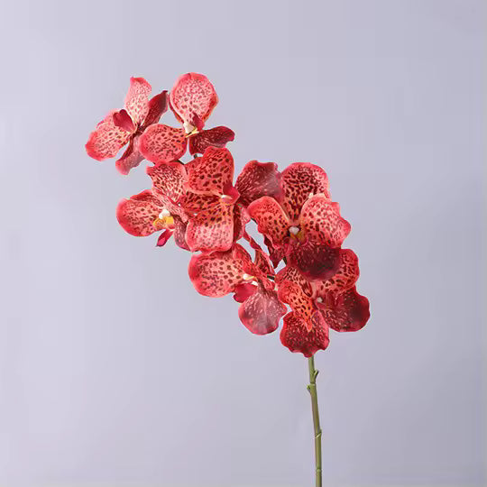 Artificial Real Touch Vanda Orchid Stem