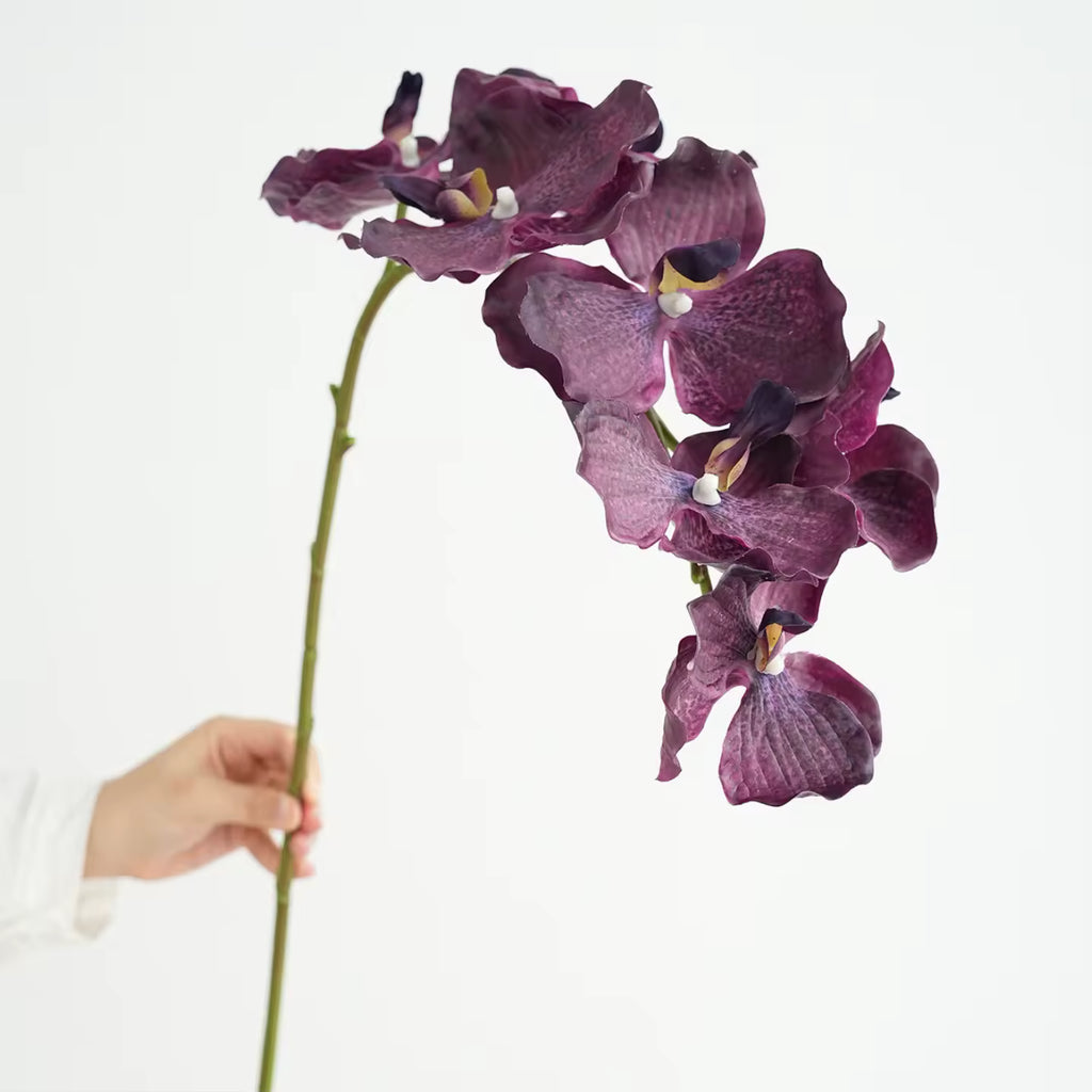 Artificial Real Touch Vanda Orchid Stem