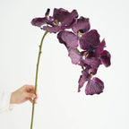 Artificial Real Touch Vanda Orchid Stem