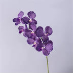 Artificial Real Touch Vanda Orchid Stem