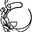 The Orchid Patio logo