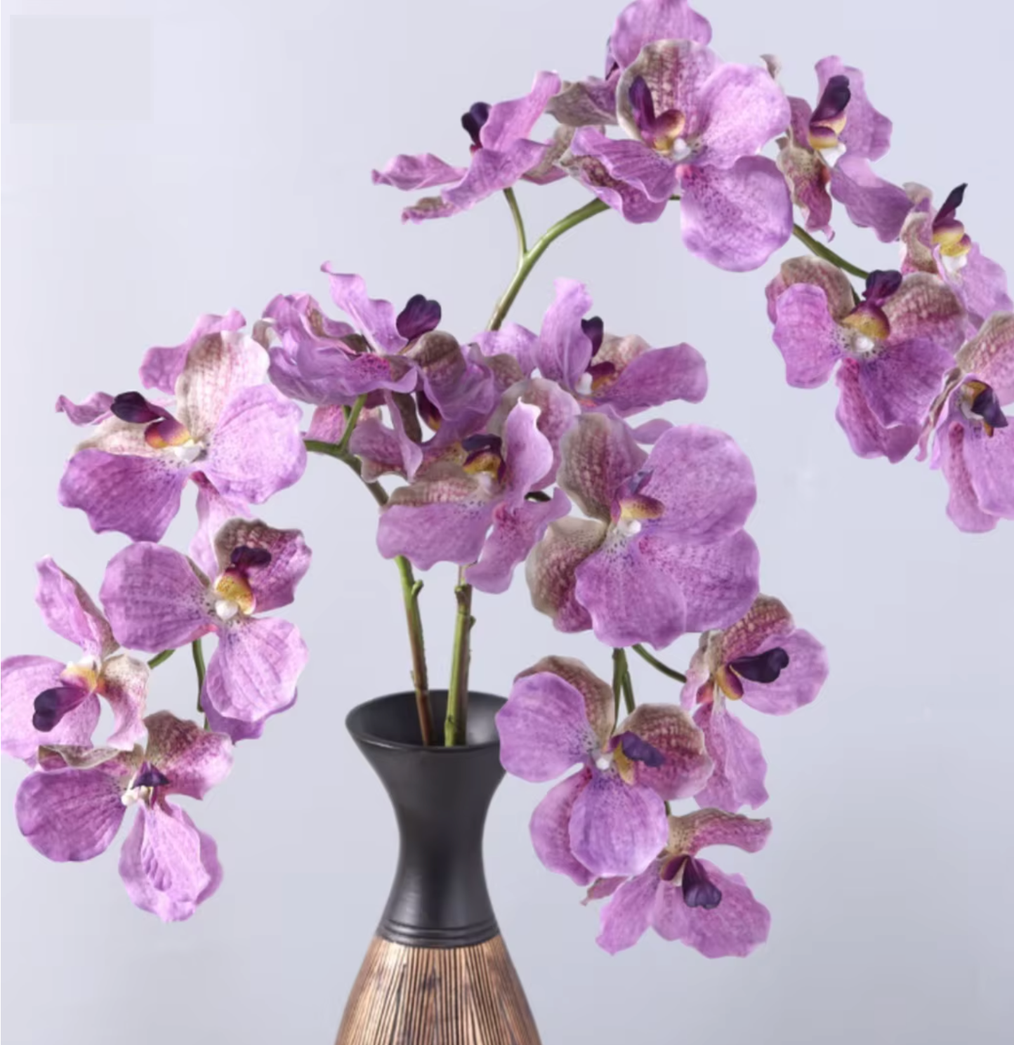 Artificial Real Touch Vanda Orchid Stem Main image