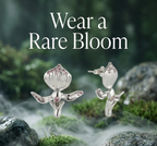 Paphiopedilum Barbatum Stud Earrings (Sterling Silver)