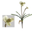 Artificial Real Touch Paphiopedilum Orchid Stem