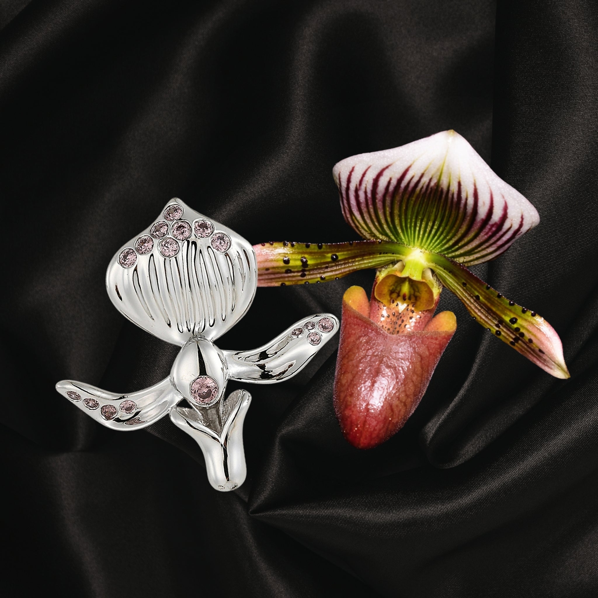 Paphiopedilum Barbatum Stud Earrings (Sterling Silver) Secondary image