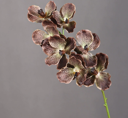 Artificial Real Touch Vanda Orchid Stem Secondary image