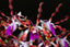 Dendrobium lasianthera x Dendrobium tangerinum (HARD TO FIND)