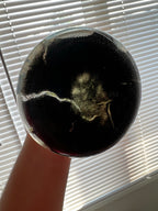 Flask - Fredclarkeara After Dark 'SVO Black Pearl'