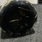 Grammatophyllum scriptum var kiilani RARE FLASK